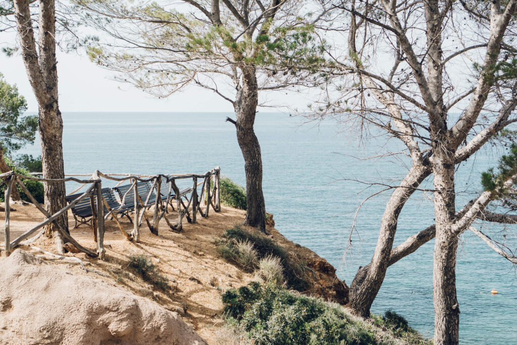 Algarve vs. Comporta: Choosing the Ideal Location for Your Portugal Property Purchase