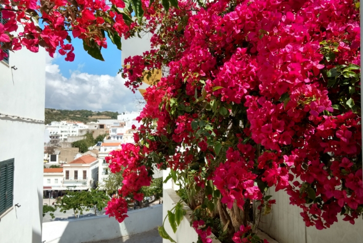 compass-property-sales-east-algarve-tavira-2